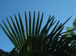 DSC06220