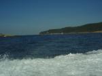 DSC06247