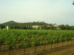 DSC06500