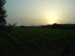 DSC06535